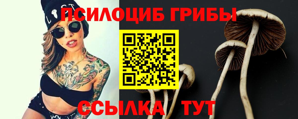 Балтийск  Псилоцибиновые грибы прущие грибы  Галлюциногенные грибы MAGIC MUSHROOMS  Вход с VPN 